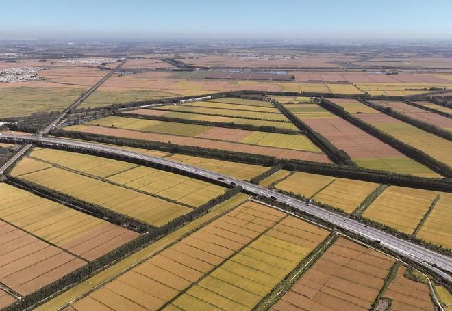 特色产业兴 县域经济强